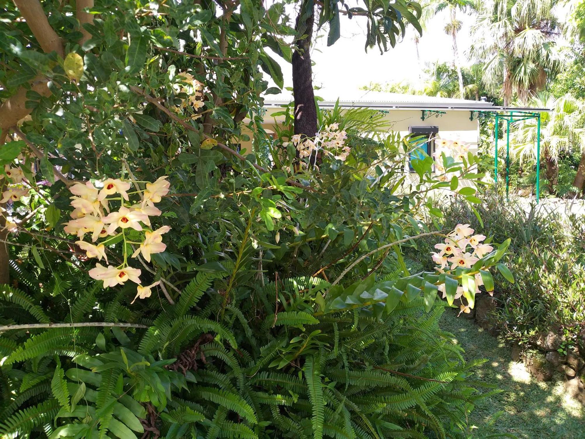 مبيت وإفطار سانت أندريه Poivre Et Citronnelle المظهر الخارجي الصورة