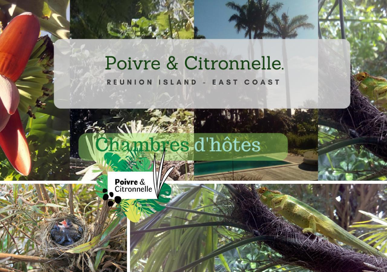 مبيت وإفطار سانت أندريه Poivre Et Citronnelle المظهر الخارجي الصورة